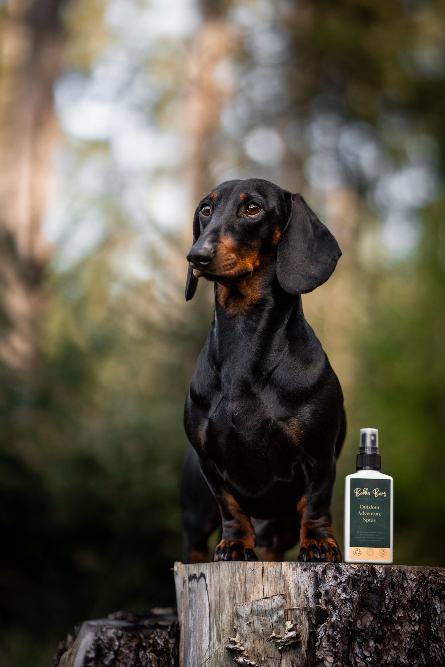 Dog Beauty - Outdoor Adventure Spray