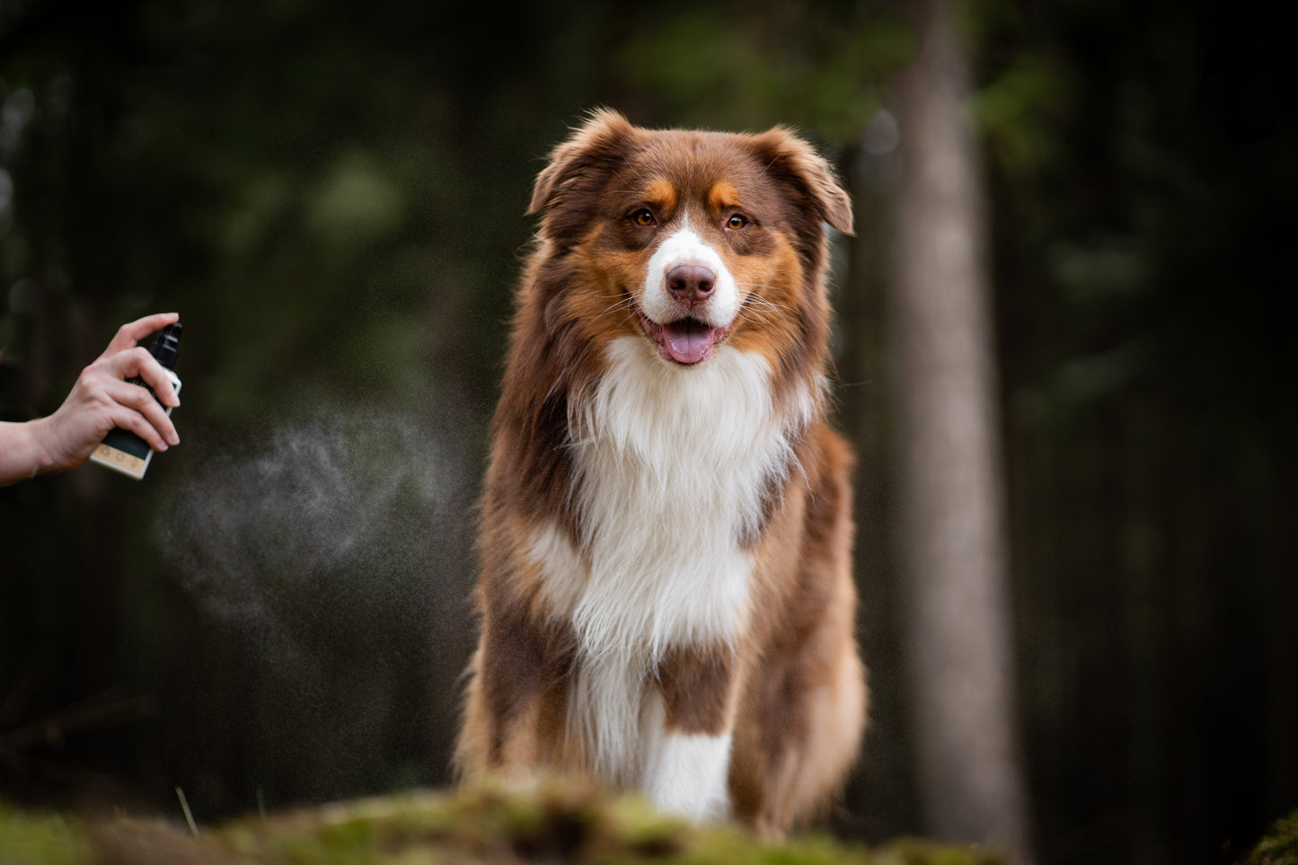 Dog Beauty - Outdoor Adventure Spray