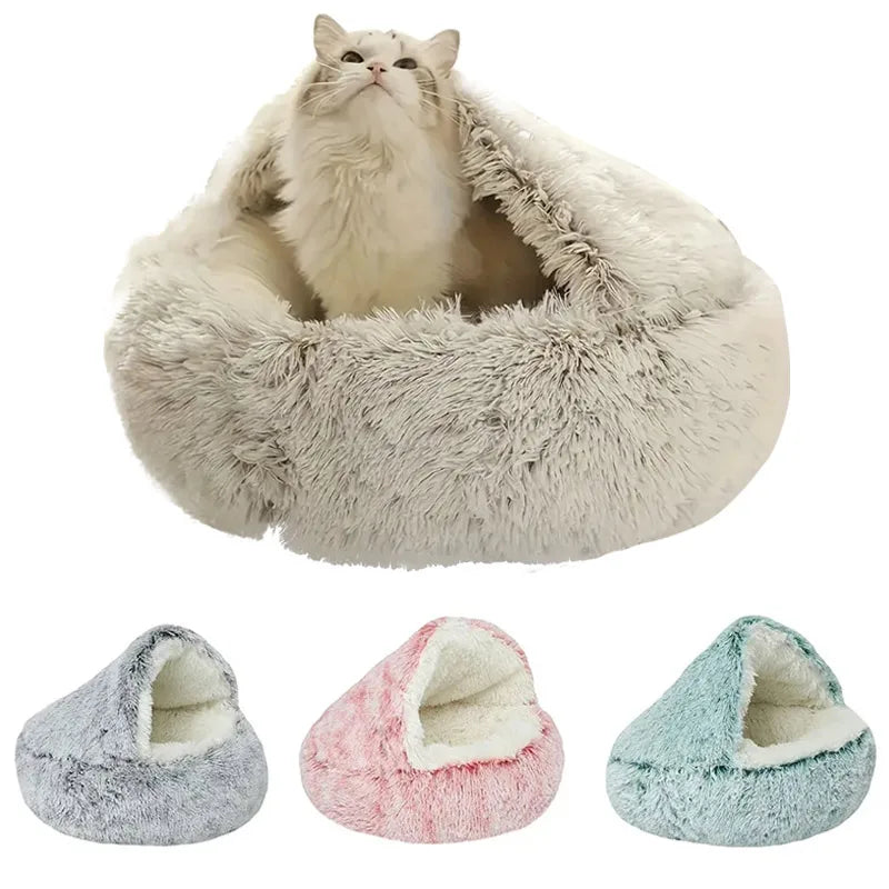 Kattenkussen oester